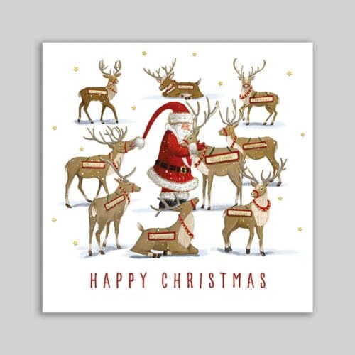 Santa Feeding the Reindeer - 10 Pack